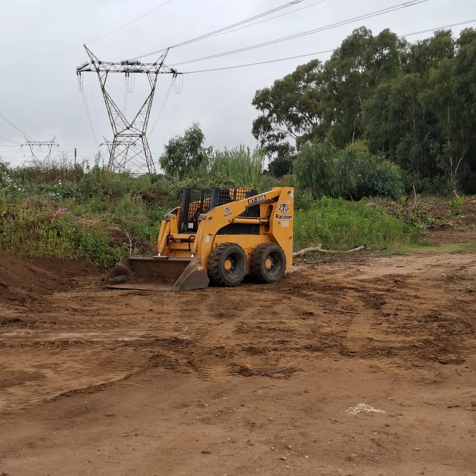 Skid Steer Training
